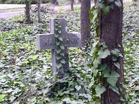 41-3 Parcella részlet